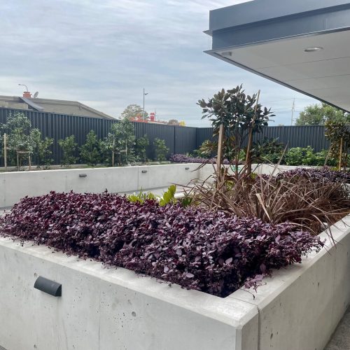 e689a17f-f37f-4adf-ba41-133f7005dc1d-lg-IMG_3707